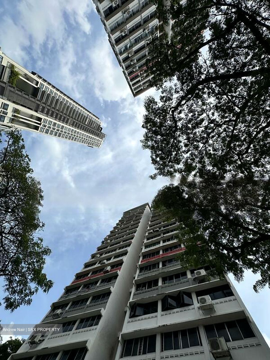Spottiswoode Park (D2), Apartment #446653471
